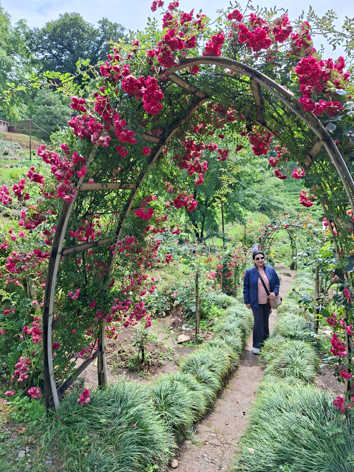 Botanical Garden view 16