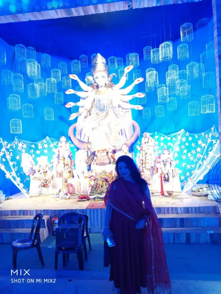 A Message on Conservation Birdcages Durga Puja Pandal Kolkata