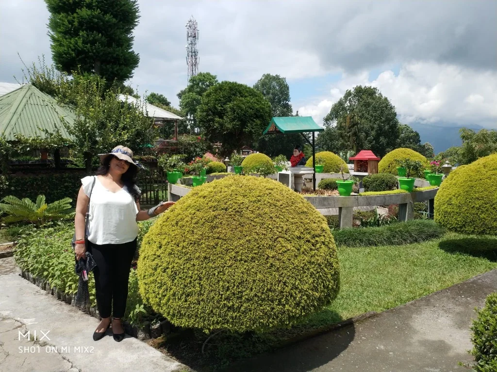 A woman standing next to a perfectly round topiary bush in a lush outdoor garden nursery