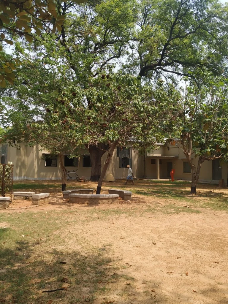 Visva-Bharati Campus Courtyard