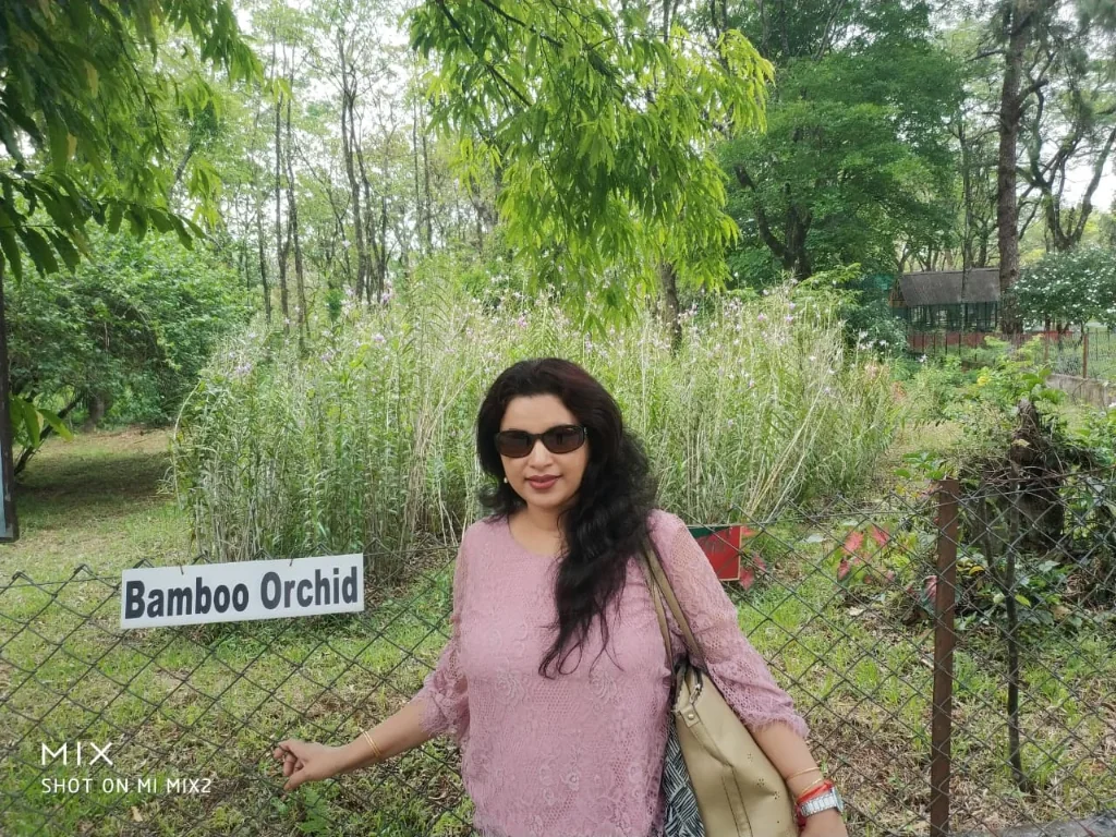 Bamboo Orchid garden with purple-pink blooms at Tippi