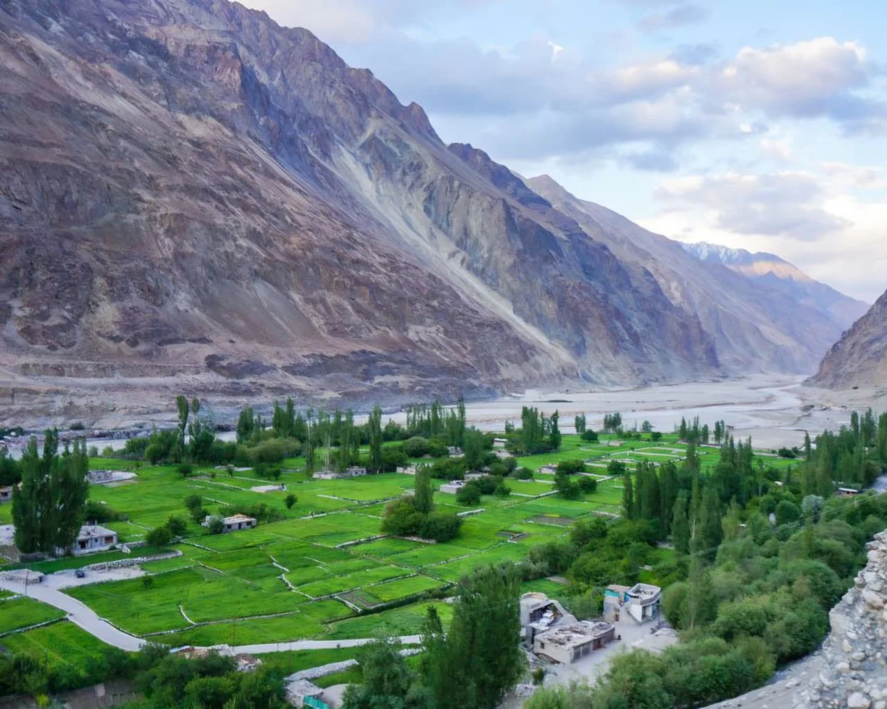 Green fields and mountains in Turtuk village, Ladakh.