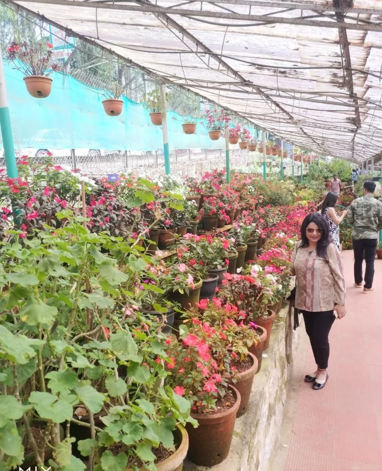 Vibrant flower nursery & hanging planters