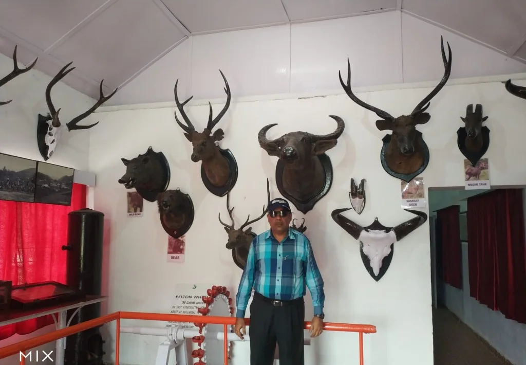 Pelton wheel hydro generator & Nilgiri Tahr wildlife taxidermy gallery
